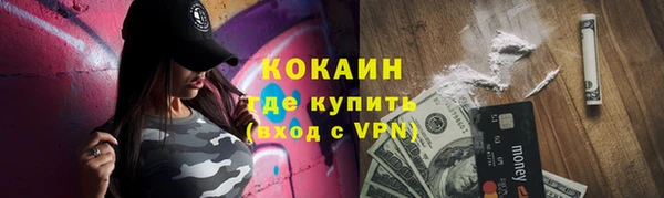 шишки Богородицк