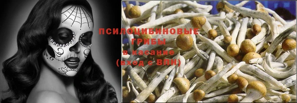 mdpv Бугульма